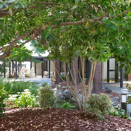 Sheraton Palo Alto Hotel-2