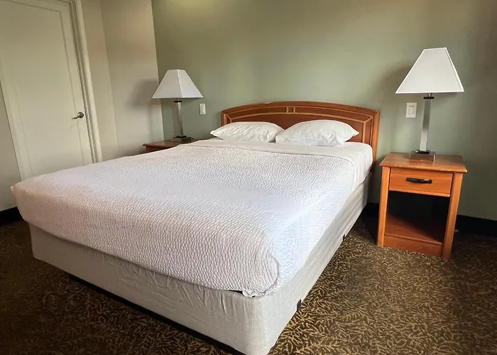 Motel: Hotel Parmani Near Stanford University
