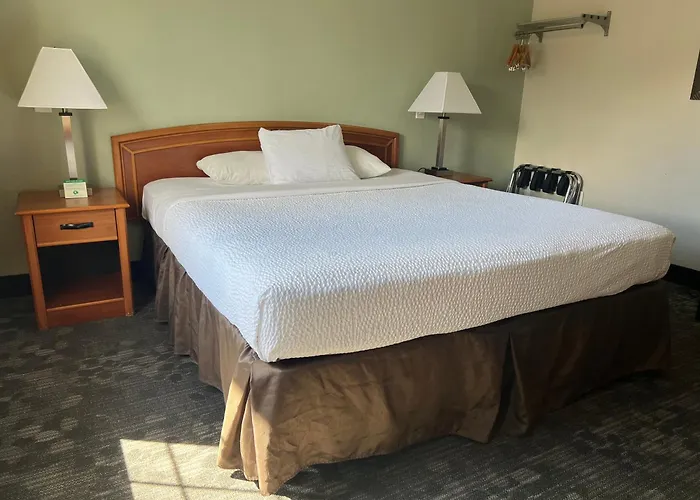 Motel: Hotel Parmani Near Stanford University